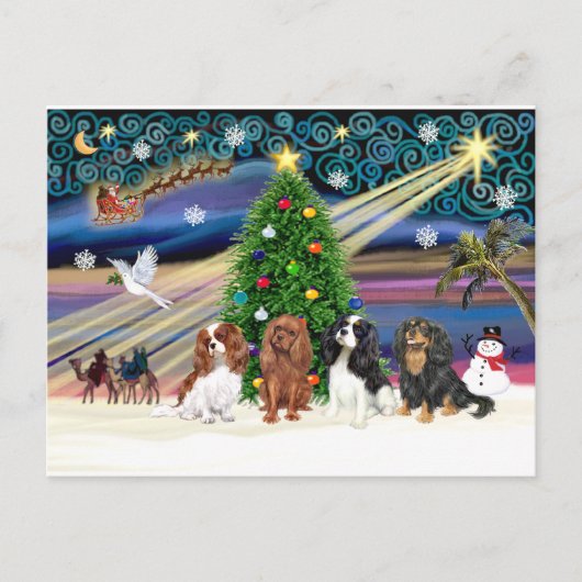 Christmas Magic / Cavalier King Charles (vier) Feestdagenkaart (Voorkant)