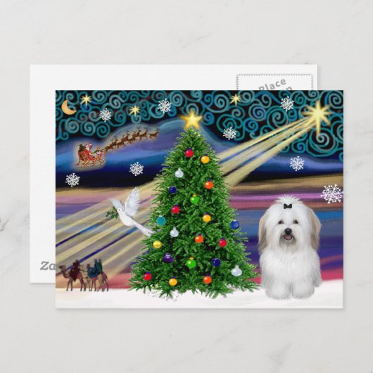 Christmas Magic Coton De Tulear Feestdagenkaart (Voorkant / Achterkant)