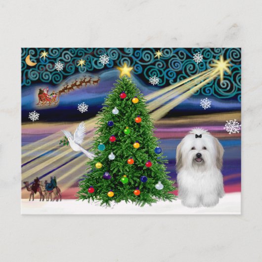 Christmas Magic Coton De Tulear Feestdagenkaart (Voorkant)