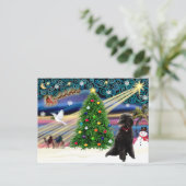 Christmas Magic Poodle (zwarte standaard) Feestdagenkaart (Staand voorkant)
