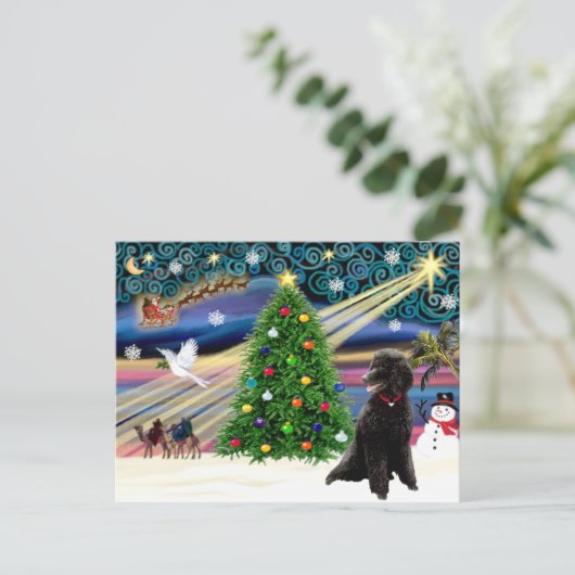 Christmas Magic Poodle (zwarte standaard) Feestdagenkaart (Staand voorkant)