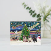 Christmas Magic Pugs (drie, 2 fawn, 1 zwart) Feestdagenkaart (Staand voorkant)