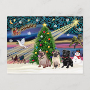 Christmas Magic Pugs (drie, 2 fawn, 1 zwart) Feestdagenkaart