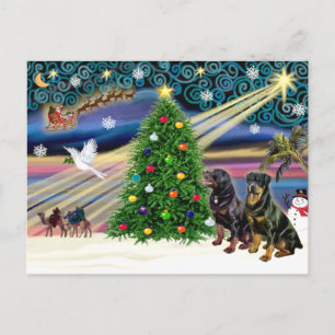Christmas Magic Rottweilers (twee) Feestdagenkaart