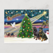 Christmas Magic Rottweilers (twee) Feestdagenkaart (Voorkant)