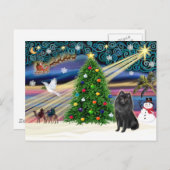 Christmas Magic Schipperke Feestdagenkaart (Voorkant / Achterkant)