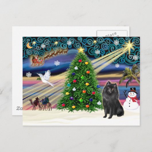 Christmas Magic Schipperke Feestdagenkaart (Voorkant / Achterkant)