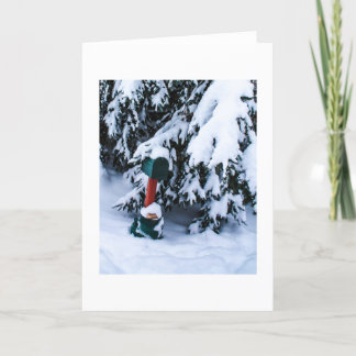 Christmas Mailbox 2 Feestdagen Kaart