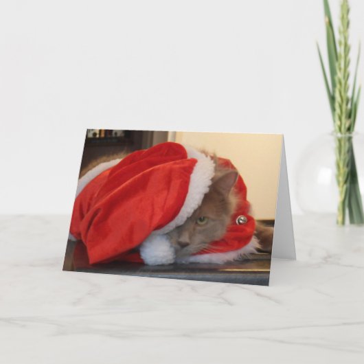 Christmas Maine Coon Feestdagen Kaart (Voorkant)