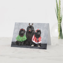 Christmas Newfies Wenskaart Feestdagen Kaart