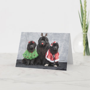 Christmas Newfies Wenskaart Feestdagen Kaart