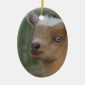 CHRISTMAS ORNAMENT BABY BLUE EYED GOAT (Voorkant)