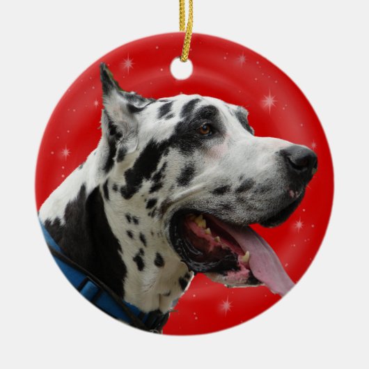 CHRISTMAS ORNAMENT HARLEQUIN GREAT DANE (Voorkant)