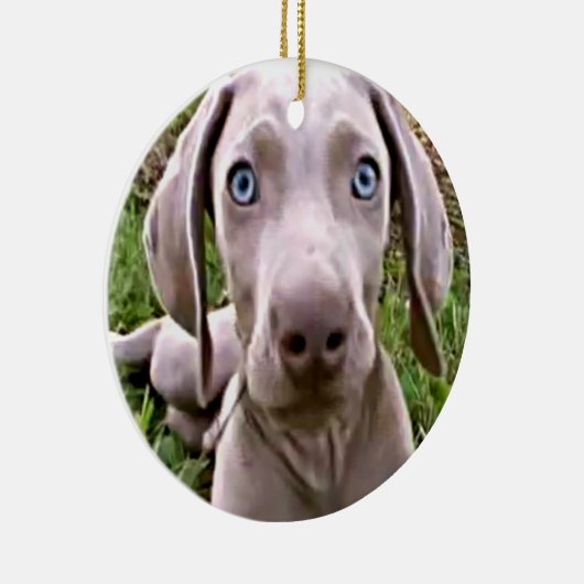CHRISTMAS ORNAMENT "WEIMARANER" (Rechts)