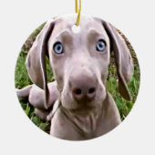 CHRISTMAS ORNAMENT "WEIMARANER" (Voorkant)