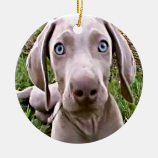 CHRISTMAS ORNAMENT "WEIMARANER" (Voorkant)