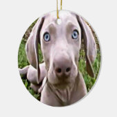 CHRISTMAS ORNAMENT "WEIMARANER" (Links)