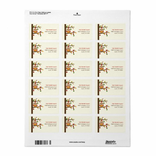 Christmas Owl Adreslabel Etiket (Full Sheet)