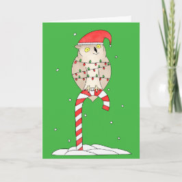 Christmas Owl Cute Funny Feestdagen Kaart