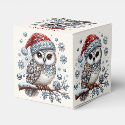 Christmas Owl Holiday Gift Box Bedankdoosjes (Achterkant)