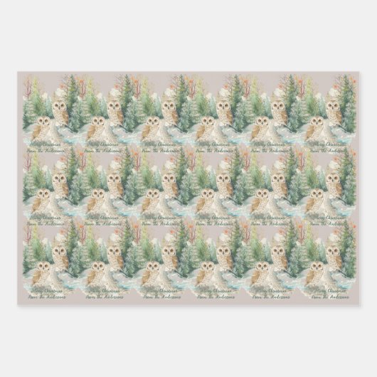 Christmas Owl Wrapping Paper Flat Sheet Set of 3 (Voorkant 2)