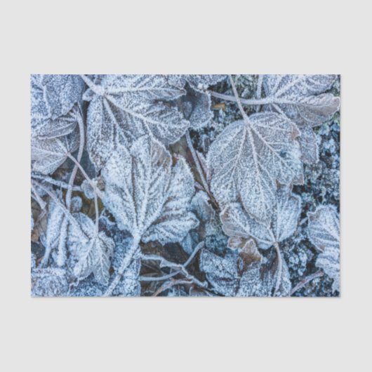 Christmas Party Blue Leaves Snow Holidays Winter Tissuepapier (Voorkant)