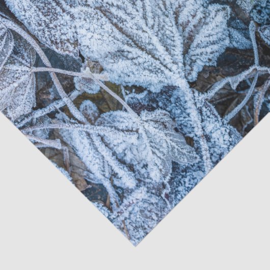 Christmas Party Blue Leaves Snow Holidays Winter Tissuepapier (Detail)