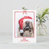 Christmas Paw Humbug Pet Foto Coquette Feestdagenkaart (Staand voorkant)
