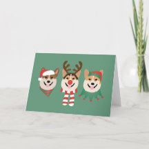 Christmas Pembroke Welsh Corgi Dogs