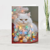 Christmas Persian Cat Tangled in Holiday Lights Kaart (Voorkant)