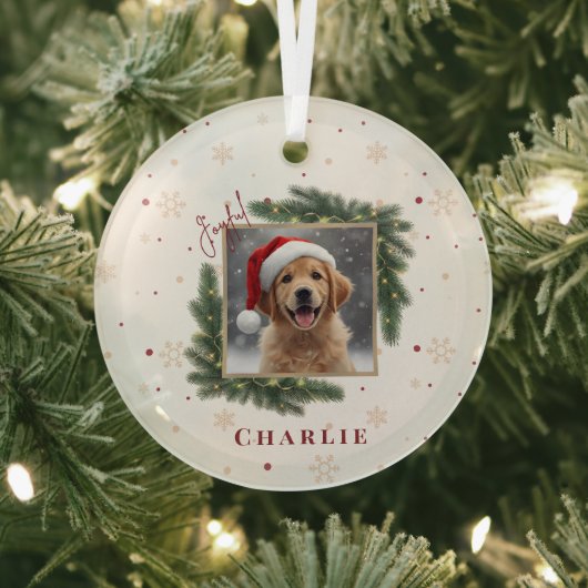 Christmas Pet Photo – Personalized Keepsake Glas Ornament (Insitu)
