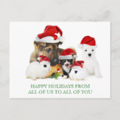 Christmas Pets Briefkaart (Voorkant)
