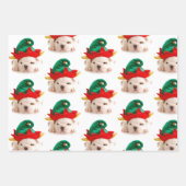 CHRISTMAS PETS Wrapping Paper Flat Sheet Set van 3 (Voorkant 3)
