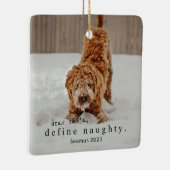 Christmas Photo Pet Ornament - ondeugend definiëre (Rechts)