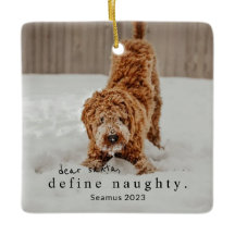 Christmas Photo Pet Ornament - ondeugend definiëre