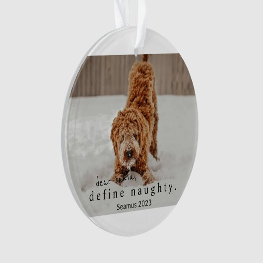Christmas Photo Pet Ornament - ondeugend definiëre (voorkant)
