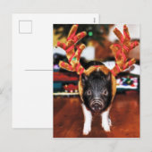 Christmas Pig Briefkaart (Voorkant / Achterkant)