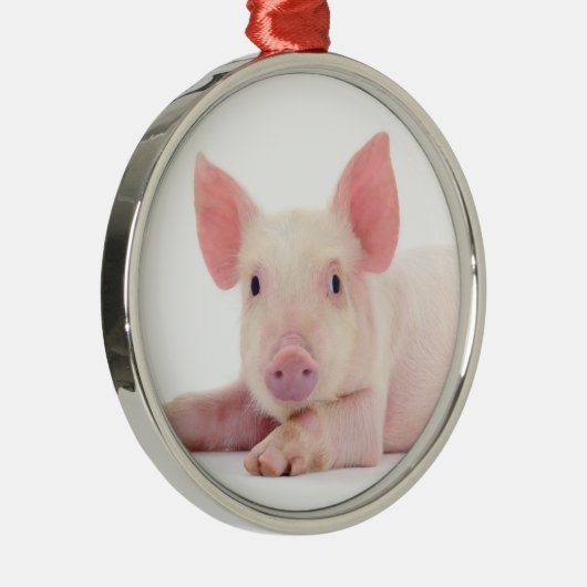 CHRISTMAS PIGGY METALEN ORNAMENT (Rechts)