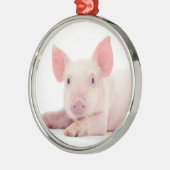 CHRISTMAS PIGGY METALEN ORNAMENT (Links)