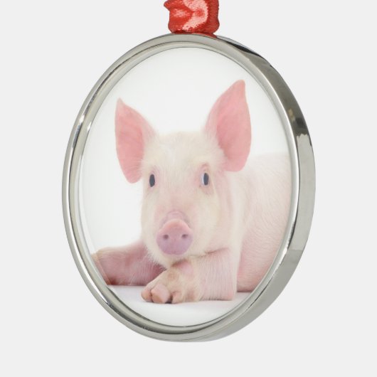 CHRISTMAS PIGGY METALEN ORNAMENT (Links)
