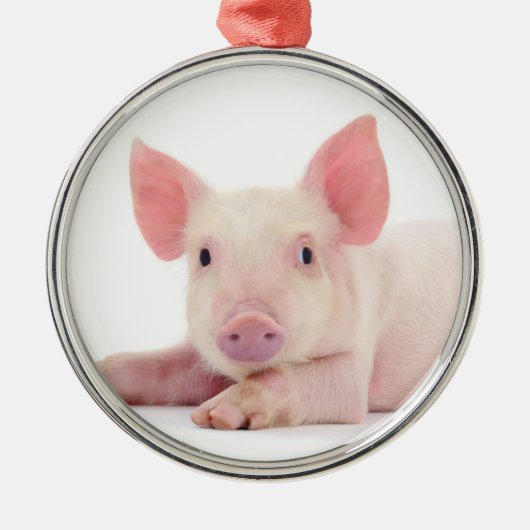 CHRISTMAS PIGGY METALEN ORNAMENT (Voorkant)