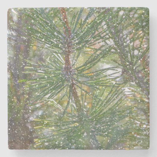 Christmas Pine Tree Snow Natuur Art Winter Onderze Stenen Onderzetter (Voorkant)