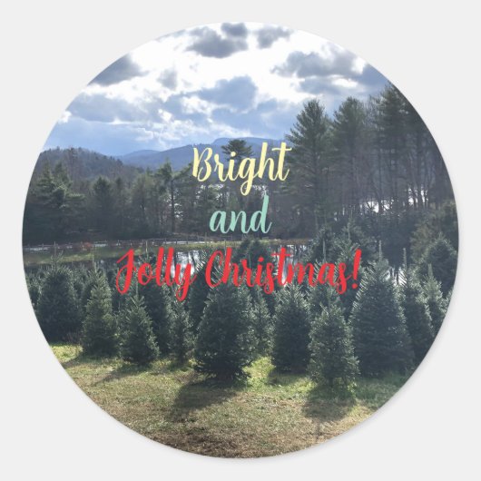 Christmas Pine Trees Stickers (Voorkant)