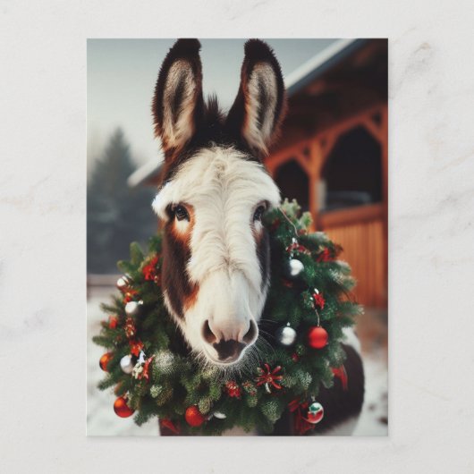 Christmas Pinto Donkey Briefkaart (Voorkant)
