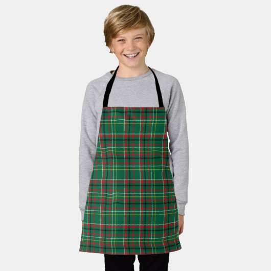 Christmas Plaid Green Pattern-23914 Schort (Gedragen)
