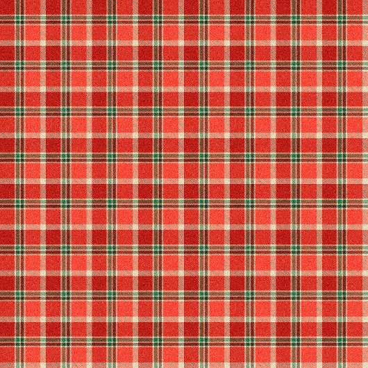 Christmas Plaid Towel Cozy Gift for Holiday Cheer Bad Handdoek