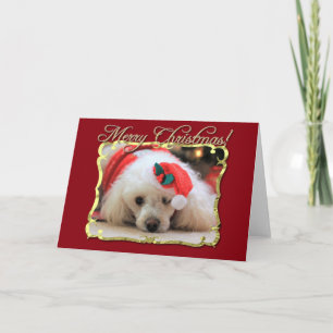 Christmas poodle greeting card feestdagen kaart