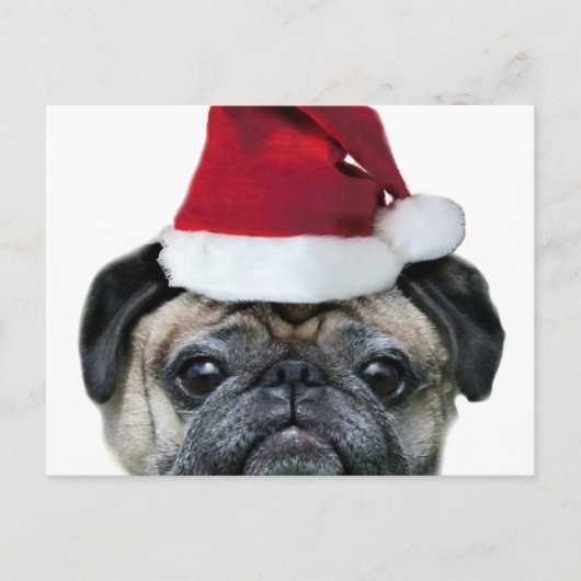 Christmas pug briefkaart (Voorkant)