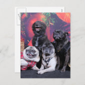 Christmas Pug Bruno Pearl Ms Wiggles - ChiPom Beer Feestdagenkaart (Voorkant / Achterkant)