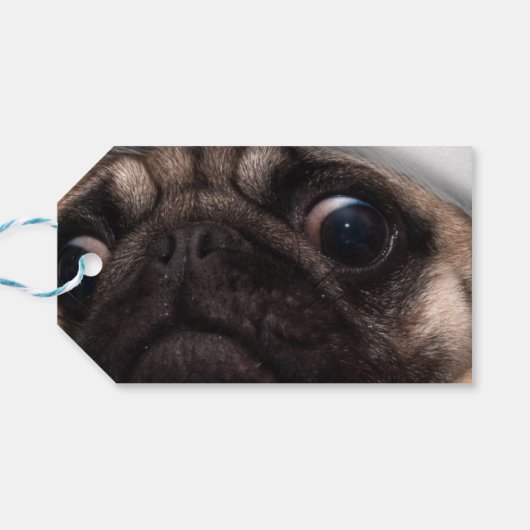 Christmas Pug Cadeaulabel (Achterkant Horizontaal)